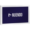  Steinberg Nuendo 12