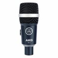  AKG D40