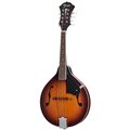  Fender PM-180E Mandoline ACB