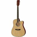  Harley Benton D-120CE NT