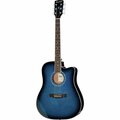  Harley Benton D-120CE TB
