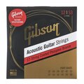  Gibson 12 String Coated Phosphor