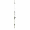  Thomann FL-1000 CE Flute