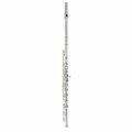  Thomann FL-200C Flute