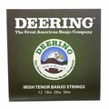  Deering Irish Tenor Banjo Set