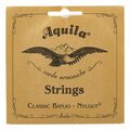  Aquila 2 B 5 str.Banjo Nylgut Light