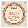  Daddario EJ55 Banjo Set