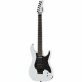  Schecter Sun Valley Super Shredder FRS