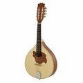 Gewa Pro Natura Mandolin