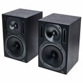  Behringer B2031A Truth