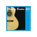  Harley Benton Coated Phosphor 011 Anti Rust