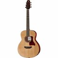  Harley Benton Custom Line CLGS-10S Travel