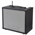  Elite Acoustics A6-55 Acoustic Amplifier