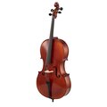  Gewa Ideale VC2 Cello 4/4
