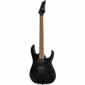  Ibanez RG421EX-BKF