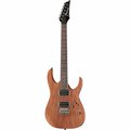  Ibanez RG421-MOL