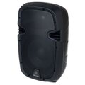  Behringer PK110A