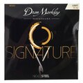  Dean Markley 2502 Signature Series LT