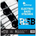  Galli Strings RSB40120 Short Scale 5-String