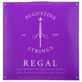  Augustine Classic Blue Regal