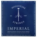  Augustine Classic Blue Imperial