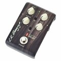  L.R.Baggs Align Delay