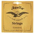  Aquila 1CH Nylgut Charango