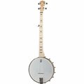  Deering Goodtime Banjo