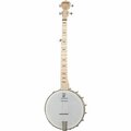  Deering Goodtime A/E Banjo