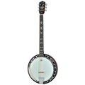  Harley Benton BJ-65Pro 6 String Banjo