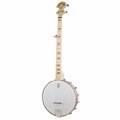  Deering Goodtime Banjo Starter Package