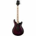  PRS CE 24 Dustie Waring Floyd WB
