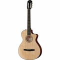  Taylor 312ce-N Nylon