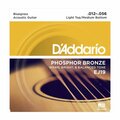  Daddario EJ19 Roundwound Strings Set