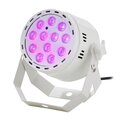  Fun Generation LED Pot 12x1W QCL WH RGB WW 40