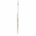  Thomann FL-1000 RI Flute