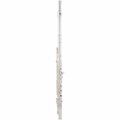  Thomann FL-300R Flute