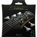  Ibanez IEBS5C E-Bass String Set 045