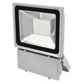  Eurolite LED IP FL-100 6400K