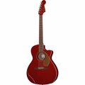  Fender Newporter Player CAR