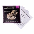  Duesenberg DS011 String Set