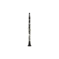  Buffet Crampon Tosca Bb-Clarinet 19/6 GL