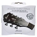 Ibanez IACS62C Acoustic Steel Strings