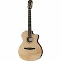  Taylor 214ce-N