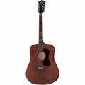  Guild D-20 Nat USA