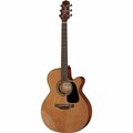 Takamine P1NC Pro Series
