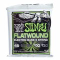  Ernie Ball 2816