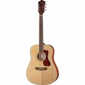  Guild D-240E Westerly Archback