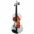  Thomann Red Rose Violin Set 4/4