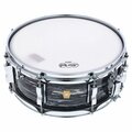  Ludwig 14